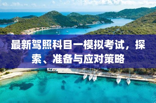 最新駕照科目一模擬考試，探索、準(zhǔn)備與應(yīng)對策略