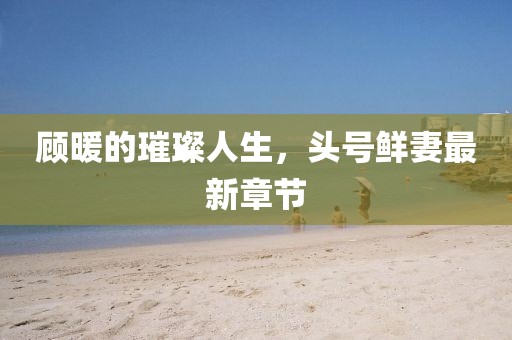 顧暖的璀璨人生，頭號鮮妻最新章節(jié)