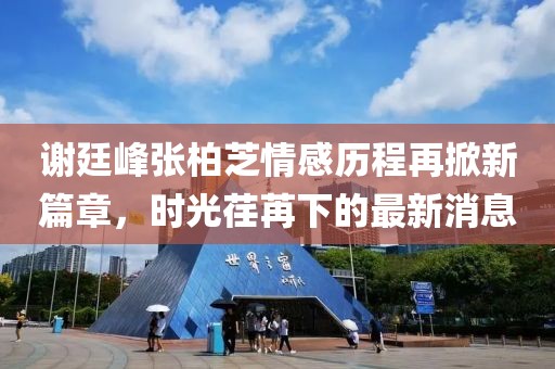 謝廷峰張柏芝情感歷程再掀新篇章，時光荏苒下的最新消息