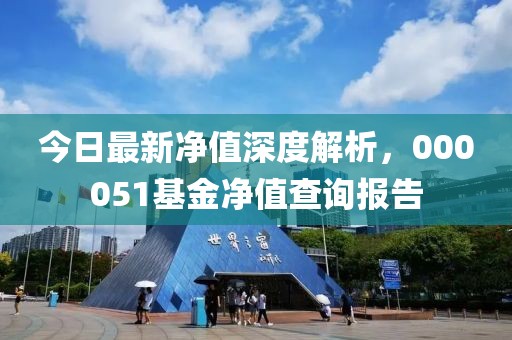 今日最新凈值深度解析，000051基金凈值查詢報告
