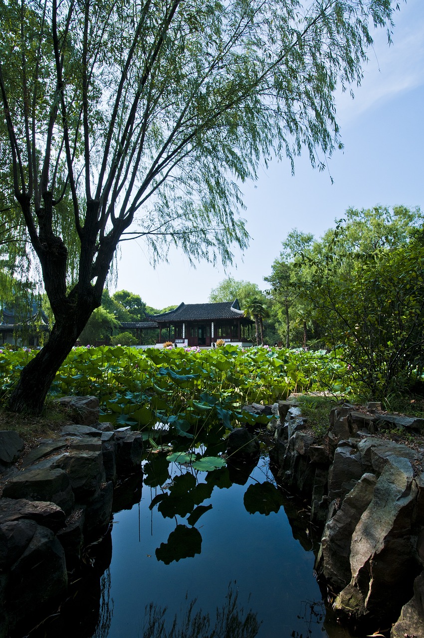 津雄鐵路最新進(jìn)展、影響與展望，揭秘最新動(dòng)態(tài)與未來趨勢(shì)