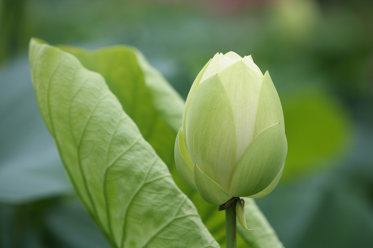 大地傳媒重組最新動態(tài)，重塑傳媒產(chǎn)業(yè)格局取得重大進(jìn)展