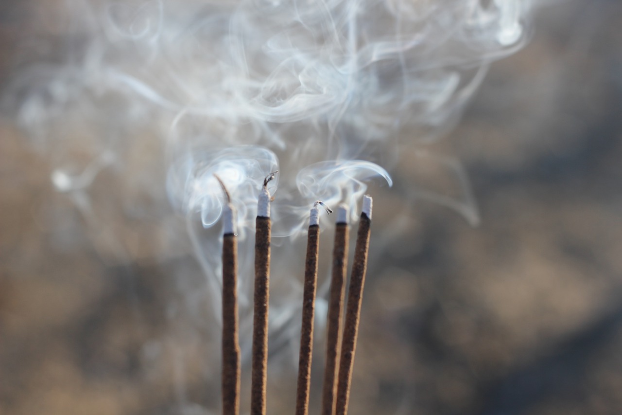 昆山溪香米蘭最新動態(tài)揭秘，最新消息一覽無余