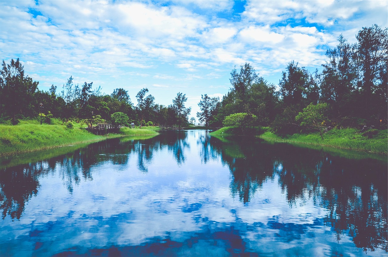 韓國(guó)薩德最新動(dòng)態(tài)，全球關(guān)注下的焦點(diǎn)事件分析視頻揭秘最新消息