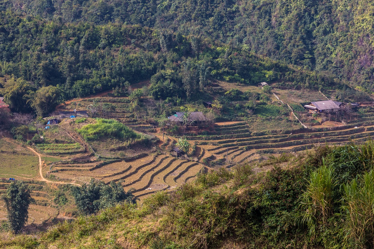 符離鎮(zhèn)最新規(guī)劃圖揭曉，展望繁榮未來，符離鎮(zhèn)2016規(guī)劃展望