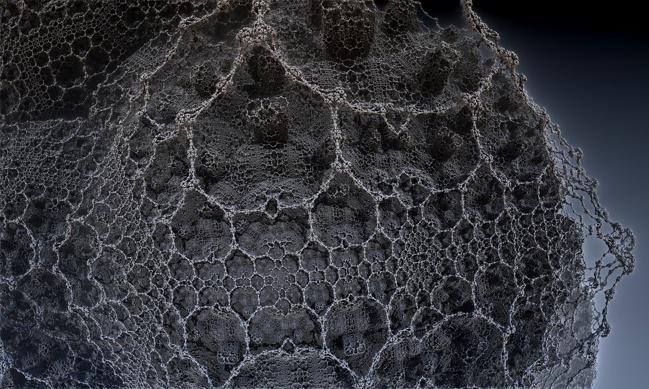 湛江李昌梧最新動(dòng)態(tài)，傳奇人物的嶄新篇章