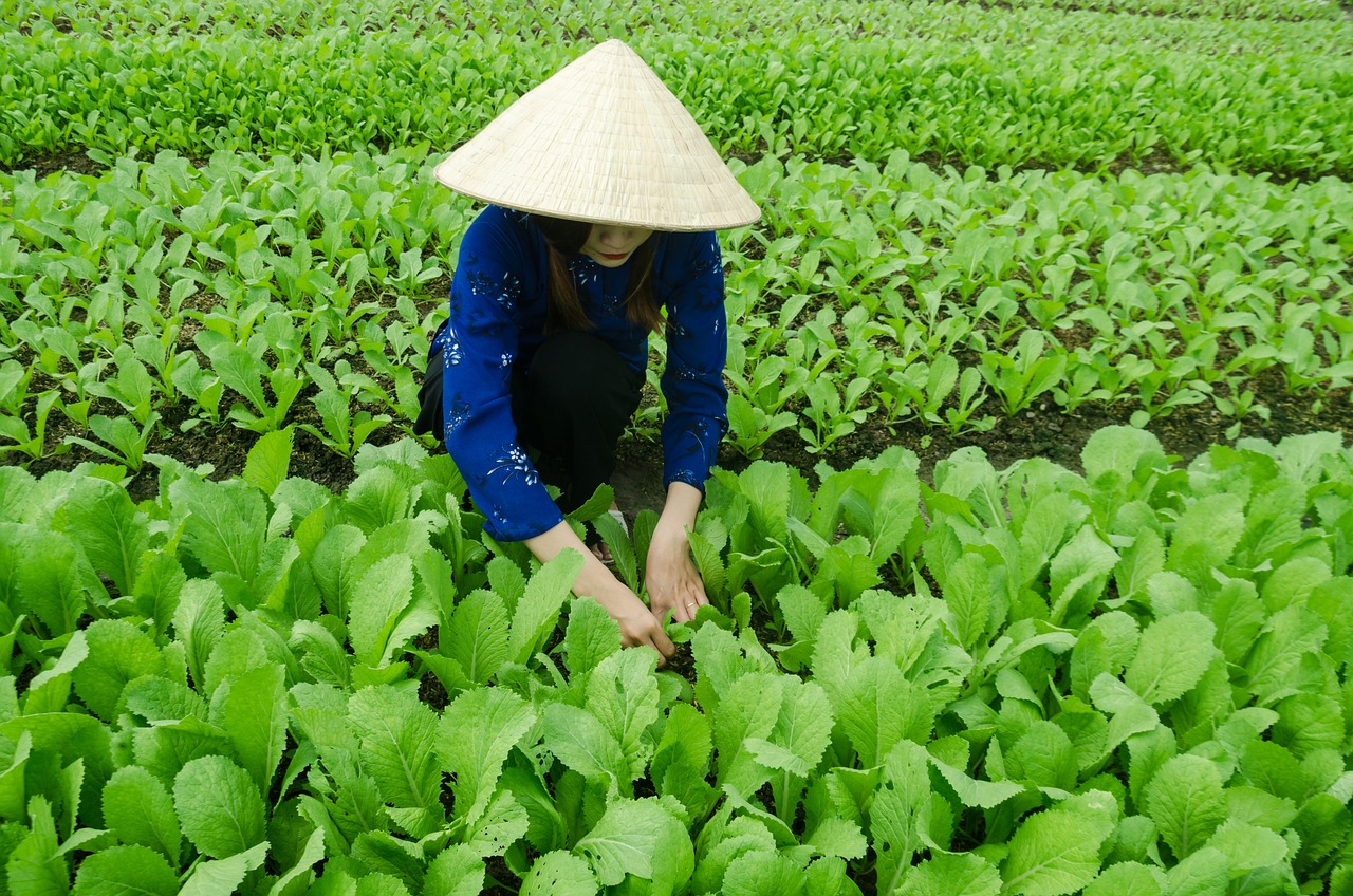 甬金鐵路最新動態(tài)，嵊州發(fā)展與鐵路聯(lián)動推進