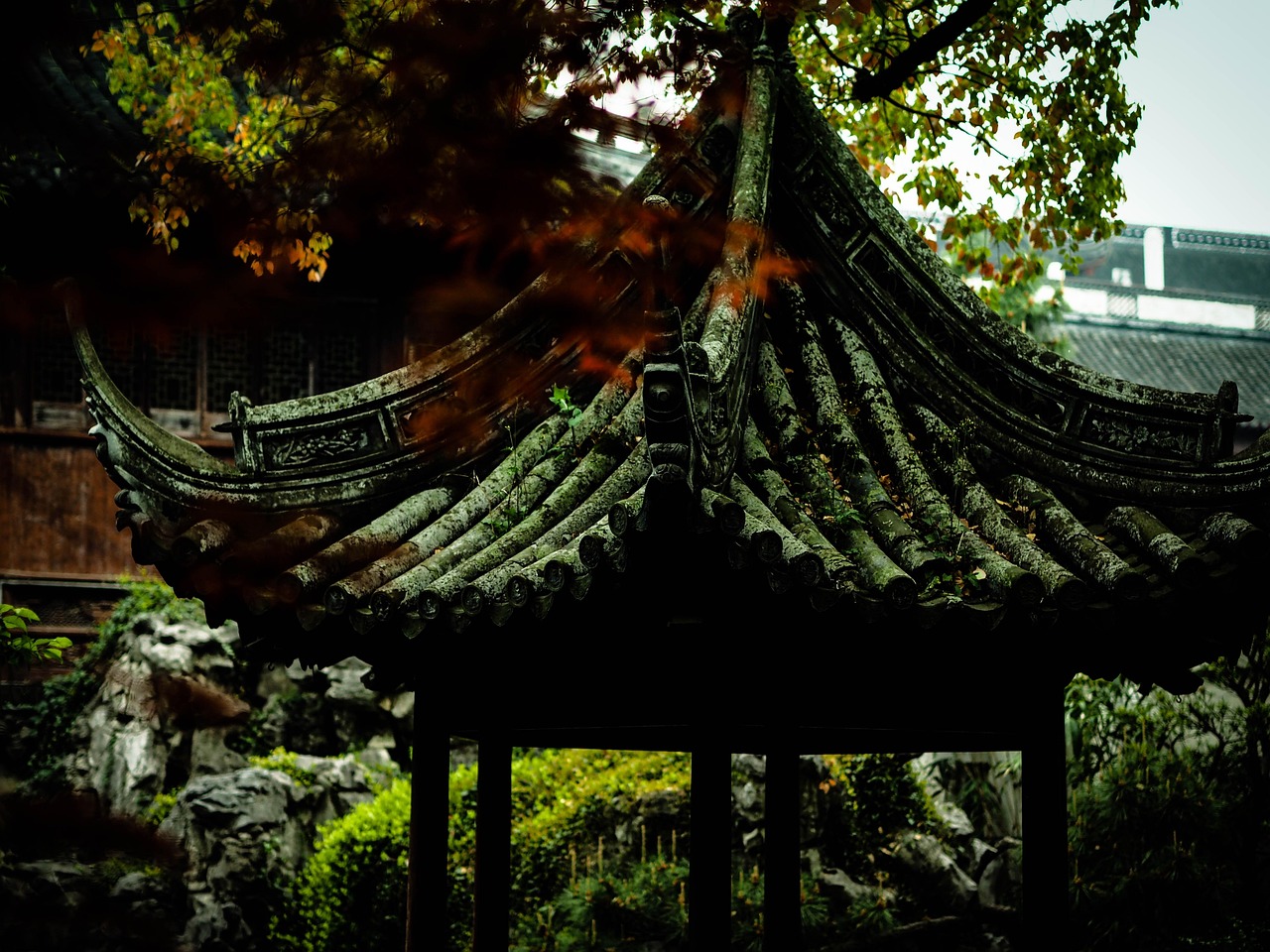 中國女排隊蓄勢待發(fā)，展現(xiàn)新篇章，最新消息與動態(tài)速遞