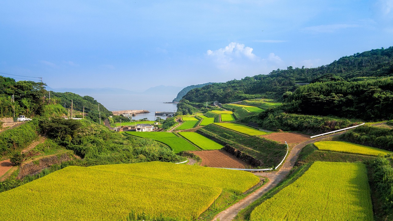 廣西靈山高速建設(shè)進(jìn)展揭秘，最新消息與未來展望