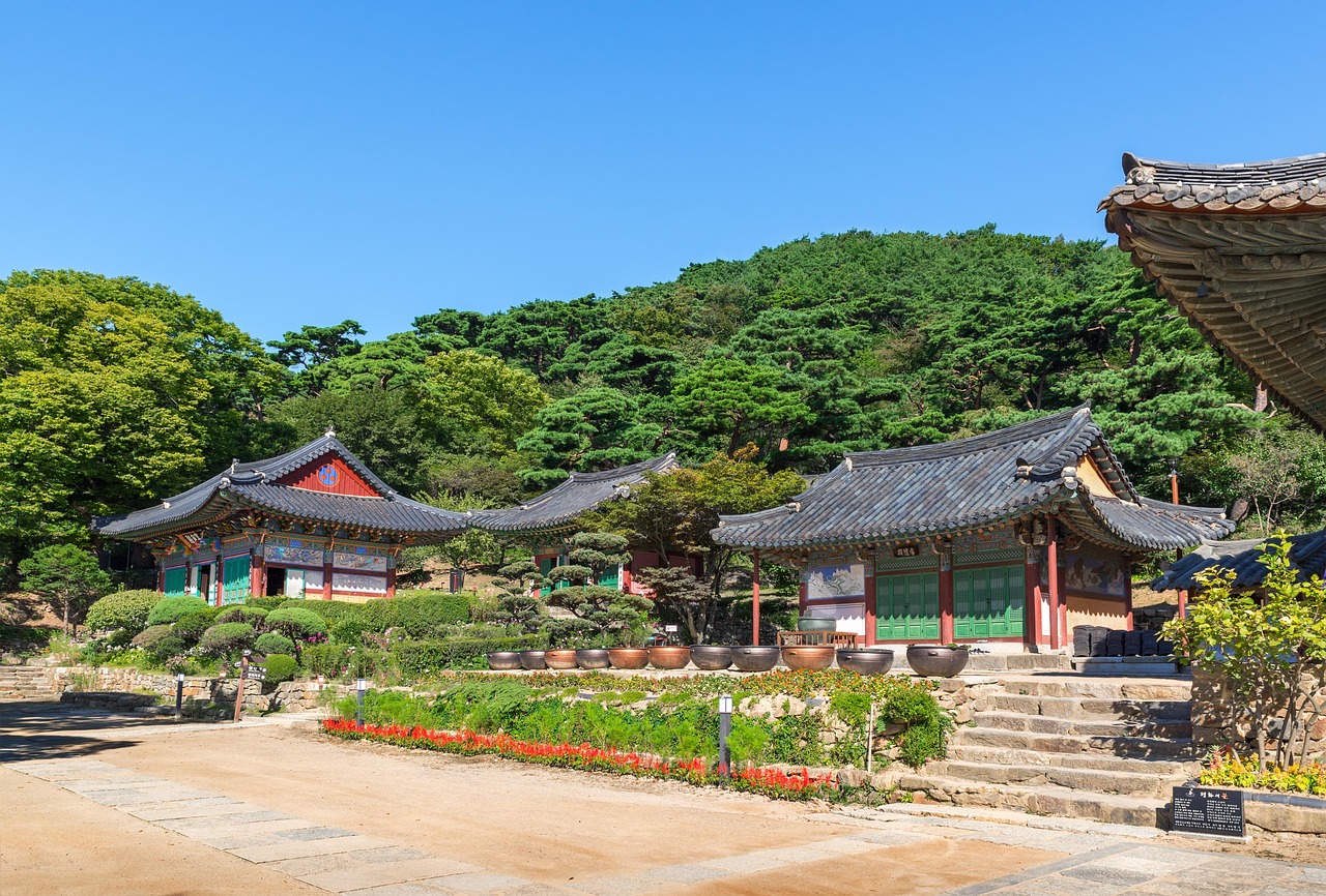 廣饒四季花城，繁榮盛景與未來期待揭秘