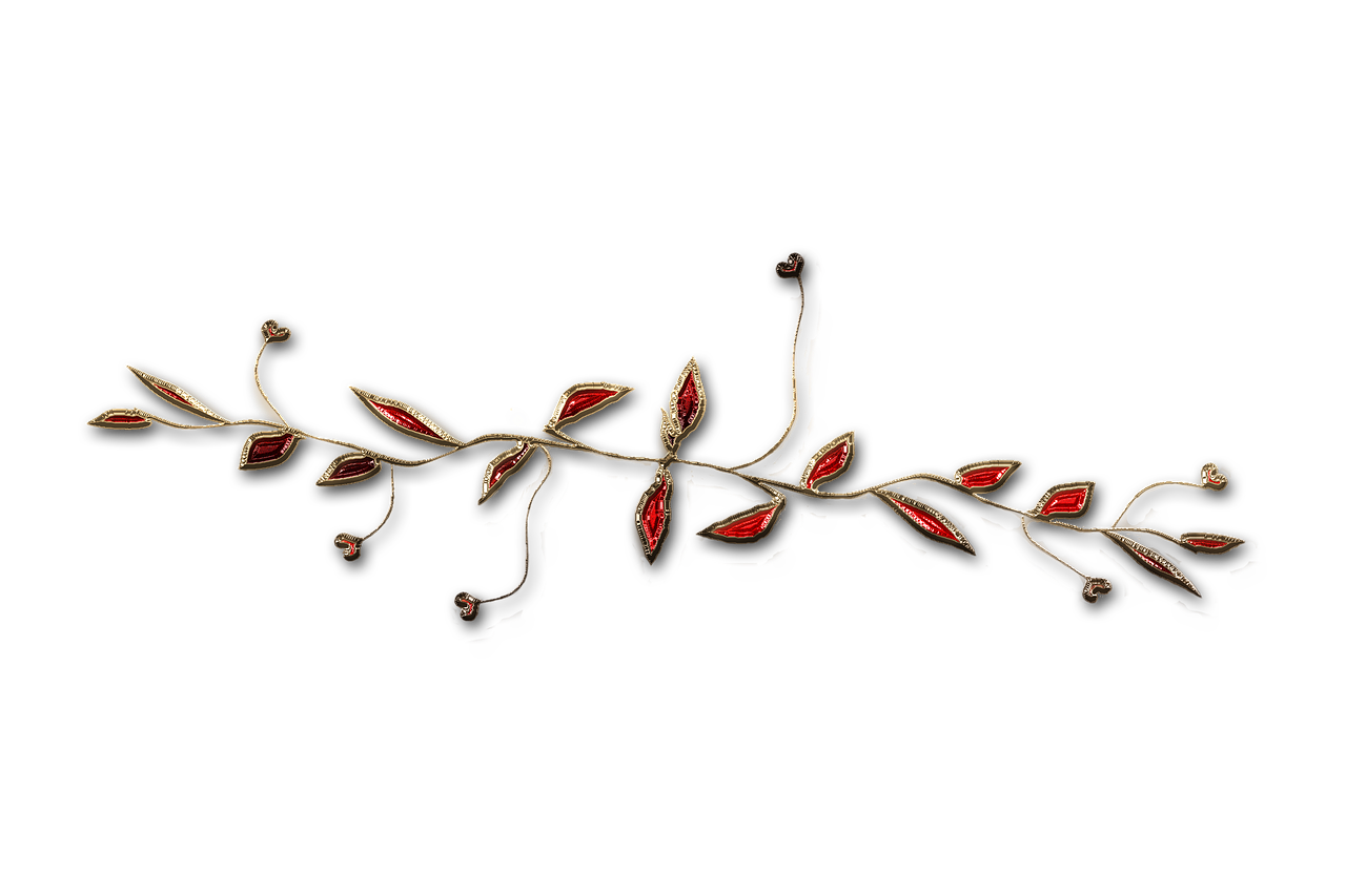 廣西大紅八角產(chǎn)業(yè)蓬勃發(fā)展，前景廣闊，最新消息與動(dòng)態(tài)