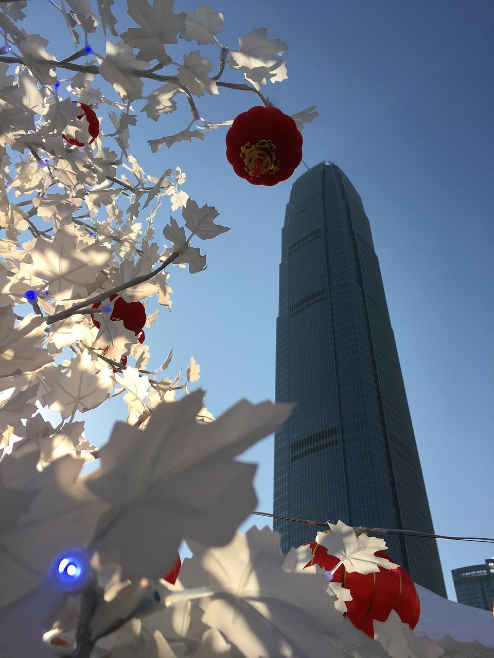 漫漫長夜新版本砍樹探索，全新體驗之旅